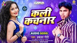 #Prakash Giri जबरजस्त भोजपुरी सांग - Kali Kachnar #_bhojpuri Song 2022