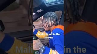 malie Donn In the streets this happen Malie Donn live 2024 #maliedonn #dancehall #zooskullent #viral