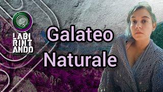 Galateo naturale - Vademecum sul come porsi in natura e nei luoghi antichi