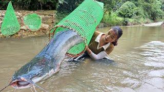 How to utilize waste plastic to weave baskets trap giant schools of stream fish - grapefruit harvest