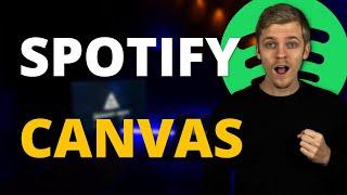 Spotify Canvas: So nutzt du das neuste Spotify-Feature für deinen Erfolg als Musiker | Artistant