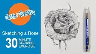 How to Sketch a Rose with Pencil - Gettin' Sketchy Live
