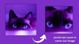 JavaScript zoom in  & zoom out image on mousemove() & mouseleave() respectively
