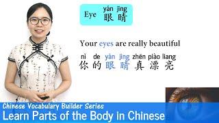 Learn Parts of the Body in Mandarin | Vocab Lesson 13 | Chinese Vocabulary Builder Series