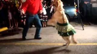 Mexican Dancing Dog