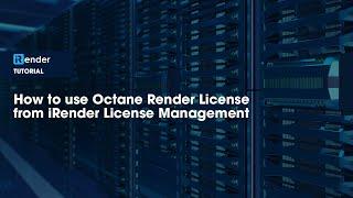 How to use Octane License from iRender License Management | iRender Cloud Rendering