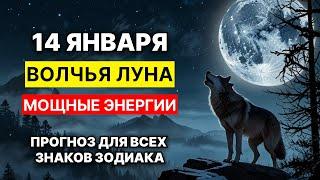 Мощные энергии Волчьей Луны! Полнолуние 14 января 2025 года