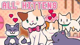 Super Cat Tales 2 ALL KITTENS - How to get Amy (easy way)