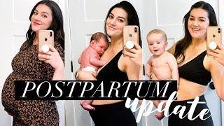 What is life like at 6 months postpartum? | Life Update | Chelsea Hansen