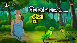 ଶିକାରୀ ଜାଲରେ ଶୁଆ - Sikari Jalare Sua / forest hunter and parrot / Odia moral story /animal story