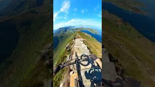 This is not AI. Real Mountain Biking.