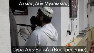 Ахмад Абу Мухаммад Сура Аль-Ваки'а (Воскресение)