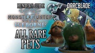 All Rare Pets Complete Guide : MHW Iceborne