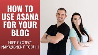 Asana Tutorial For Bloggers: How To Use Asana (Free Project Management Software)