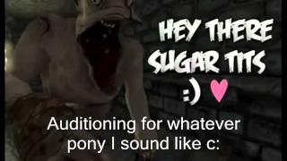 ExoticGlitter's My Abridged Pony Audition