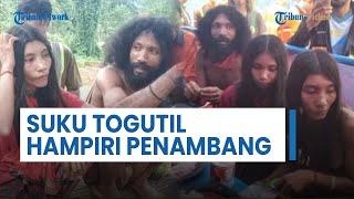 Viral Suku Togutil di Halmahera Timur Datangi Para Pekerja Tambang, Diduga Merasa Kelaparan