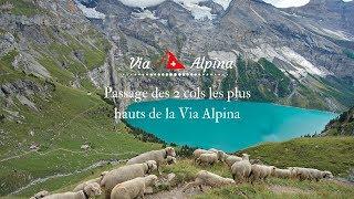 via alpina Suisse: Hohtürli et Sefinenfurgge