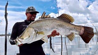 SIGHT casting TOPWATER Barra at its best