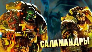 Кто такие Саламандры / Дети Примарха Вулкана в Warhammer 40000