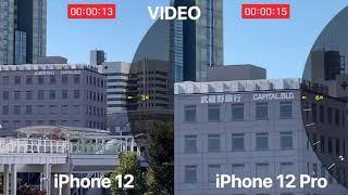 iPhone 12 & iPhone 12 Pro Camera Zoom In Out Comparison