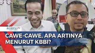 Jokowi Pakai Kata Cawe-Cawe, Apa Artinya Menurut Kamus Besar Bahasa Indonesia?