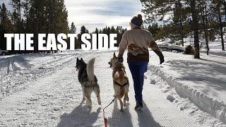 Back to the East mining District with a two dog Siberian husky and Belusky sled team with Kick sled