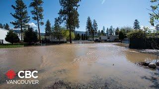 Merritt community starts innovative pilot project to restore flood plains