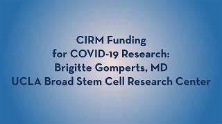 CIRM-Funded COVID-19 Research - Brigitte Gomperts - UCLA Broad Stem Cell Research Center