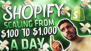 Scaling Shopify Store From $100 To $1,000 A Day Using Facebook Ads