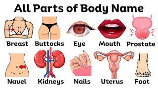 Parts of the Body in English | Basic parts of body | Listen And Practice #bodyparts #learnenglish