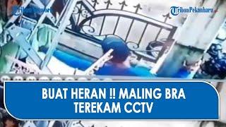 Buat Geleng Kepala! Maling Bra Terekam CCTV