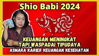 Pig zodiac predictions 2024. Prediksi  Shio babi 2024