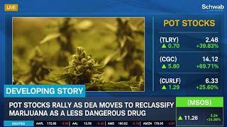 Pot Stocks Rally as DEA Moves to Reclassify Marijuana as Less Dangerous Drug