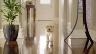 Kleenex Cottonelle TV Commercial Australia 2010