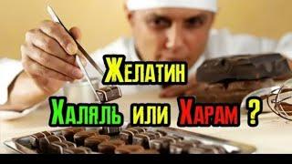 Желатин хахол аст йо харом???