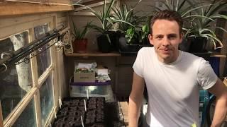 March 2019 Seed Sowing