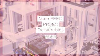 MAIN FEED DELIVERABLES