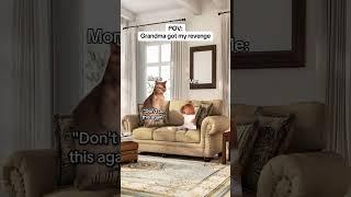 CAT MEMES Grandma got my revenge #catmemes #relatable #relationship