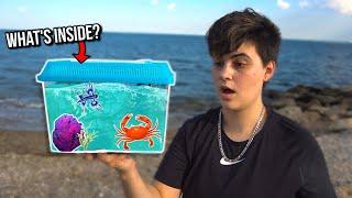 DIY BEACH AQUARIUM W/LIVE CREATURES!! *INSANE*