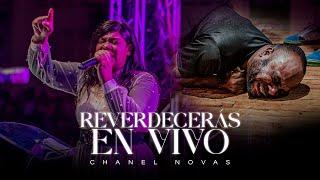 Chanel Novas en Vivo | Reverdecerás - poderosa ministración