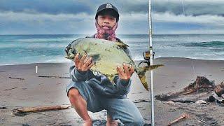 Mancing Pasiran baru datang langsung di sambar ikan besar sigigi ompong || Pompano Surf Fishing!!!