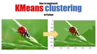 Pixel Perfect: Using K-Means Clustering to Segment Images Like a Pro in Python