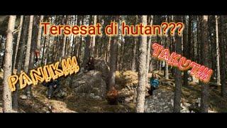 Begini Cara Bertahan Hidup di Hutan Saat TERSESAT