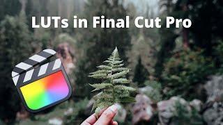 How to do color grading using LUTs in Final Cut Pro | Color Grading in Final Cut Pro