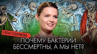 Почему бактерии бессмертны, а мы нет? Лекция антрополога Елены Судариковой