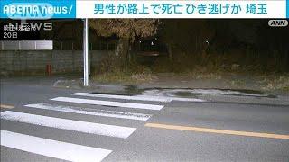 82歳の男性が路上で死亡　直前にトラック通過か　ひき逃げ可能性も視野に捜査　埼玉(2024年12月21日)