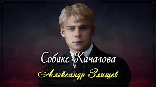 Собаке Качалова - Сергей Есенин (читает Александр Злищев)