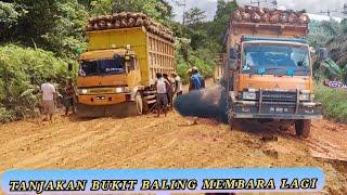 Tanjakan Extreme Bukit Baling MEMBARA LAGI G3nk Fuso HD Sangat Terlihat Bar Bar Ketika Menanjak