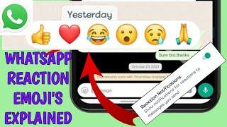 WhatsApp Reaction Feature EMOJIS EXPLAINED (WHATSAPP UPDATE 2022, WHATSAPP MESSAGE REACTIONS)