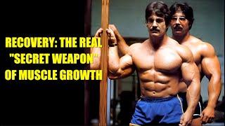 MIKE MENTZER: RECOVERY - THE REAL SECRET WEAPON OF MUSCLE GROWTH #mikementzer  #gym  #motivation